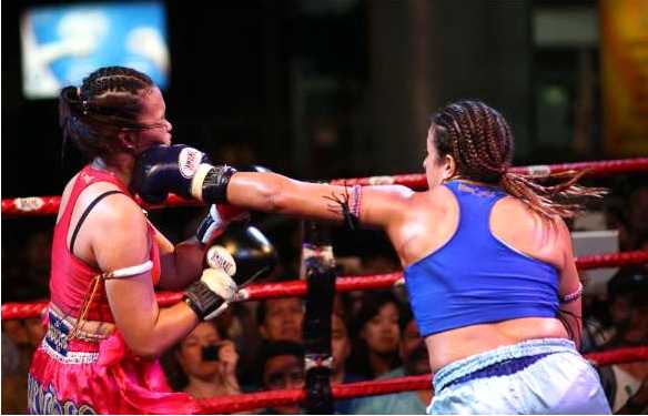 Warranty seal and boxing gear
